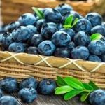 Top 8 thực phẩm giúp “lão hoá ngược” phái đẹp nên sử dụng Unknown 11